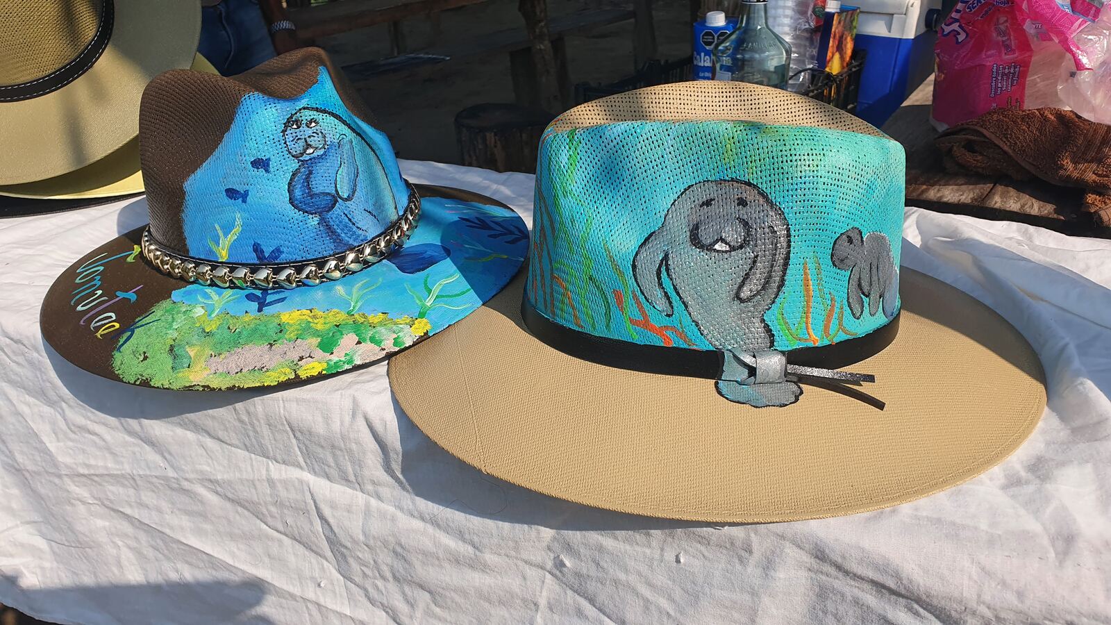 Artesanías inspiradas en el manatí
