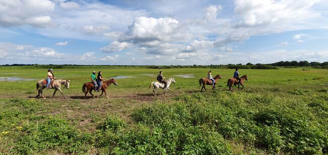 Paseo a caballo en el paisaje de Jonuta