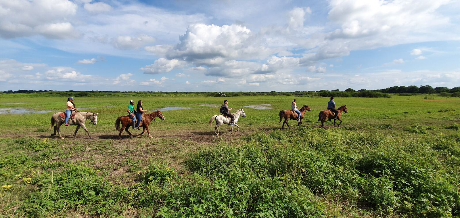 Paseo a caballo